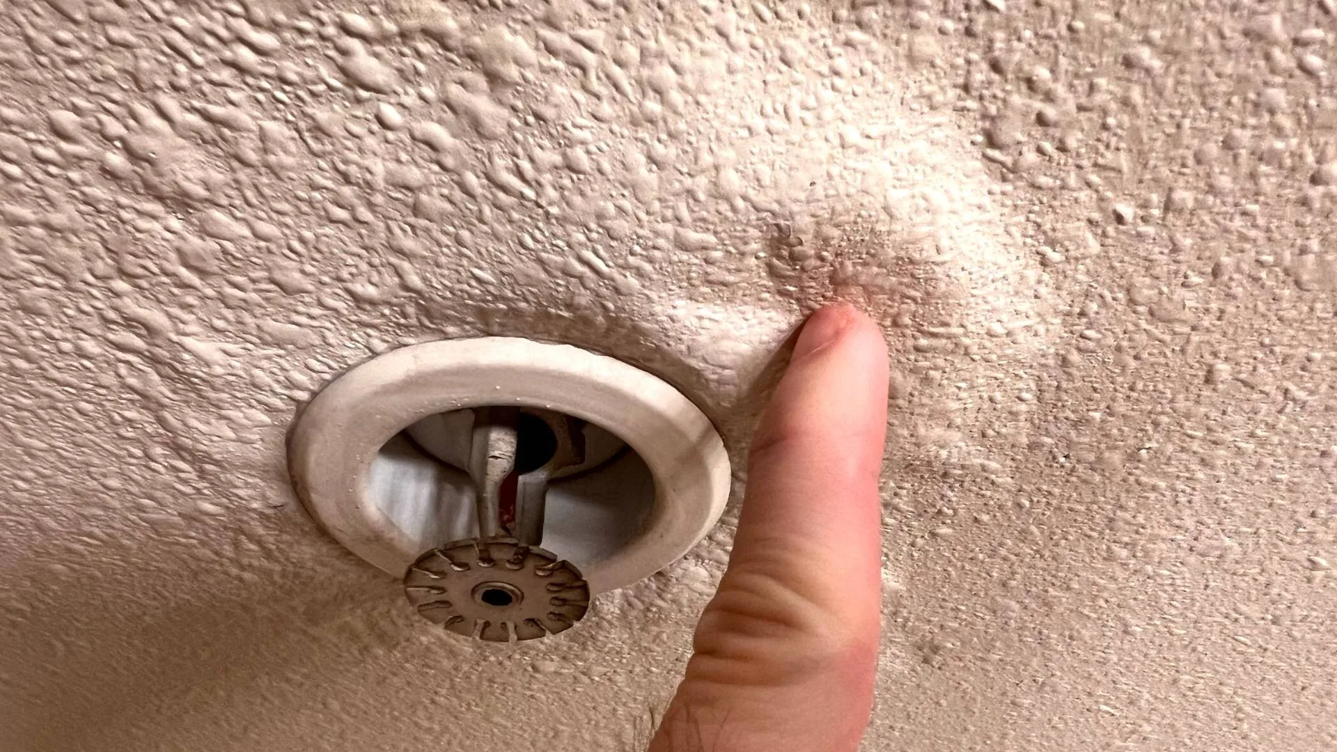 Moisture damage beside a ceiling sprinkler fitting